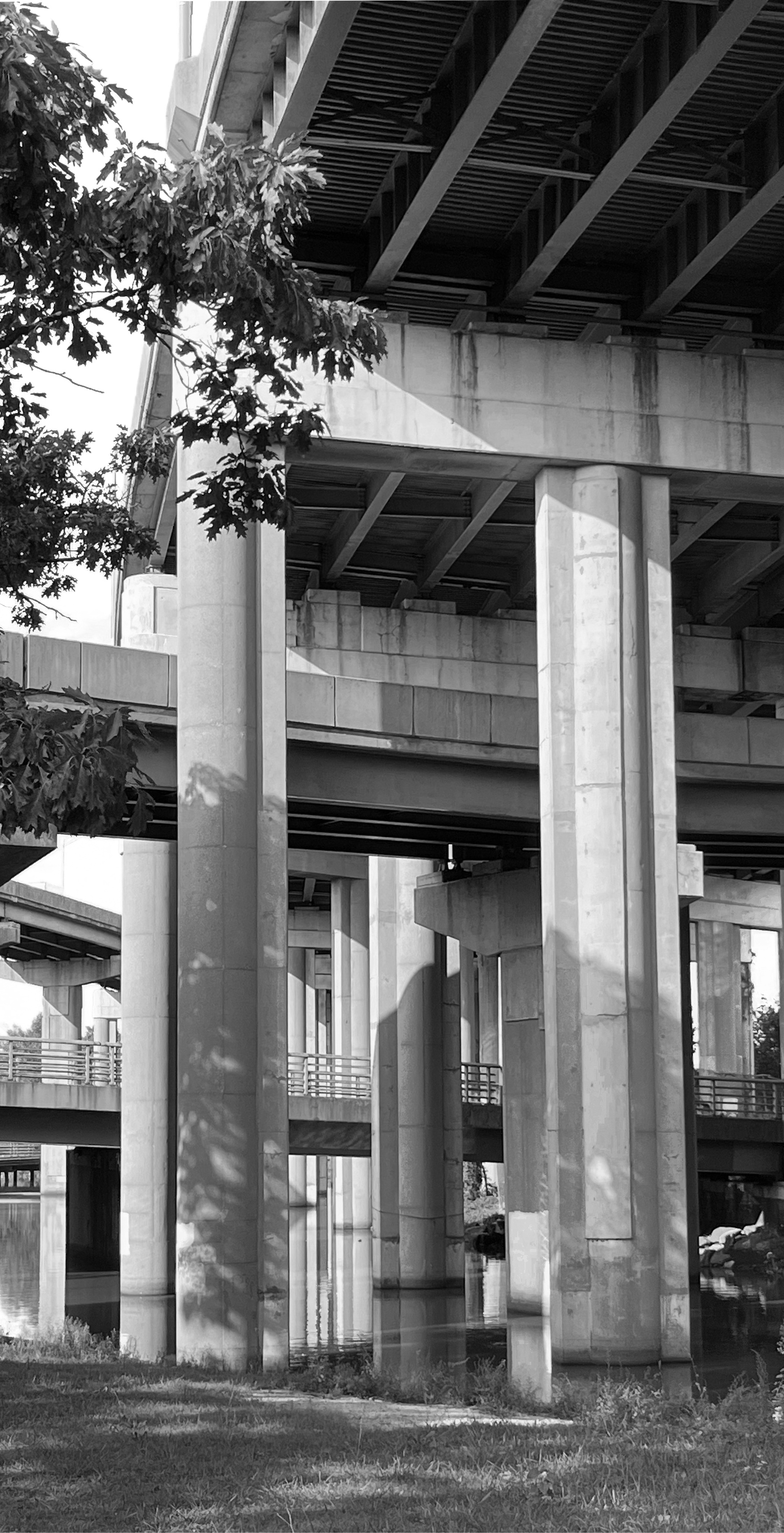 Interchange columns, vertical