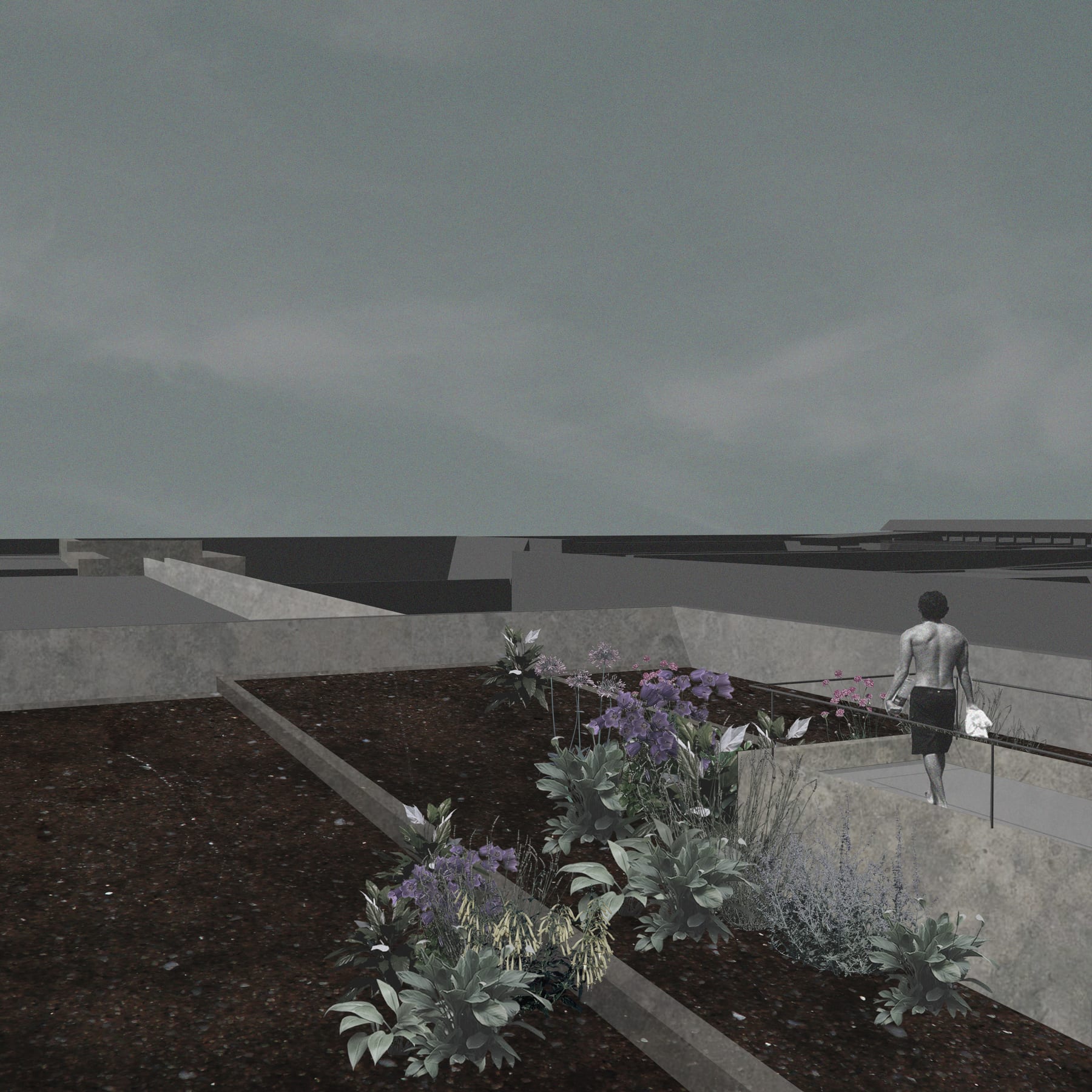 Site photo