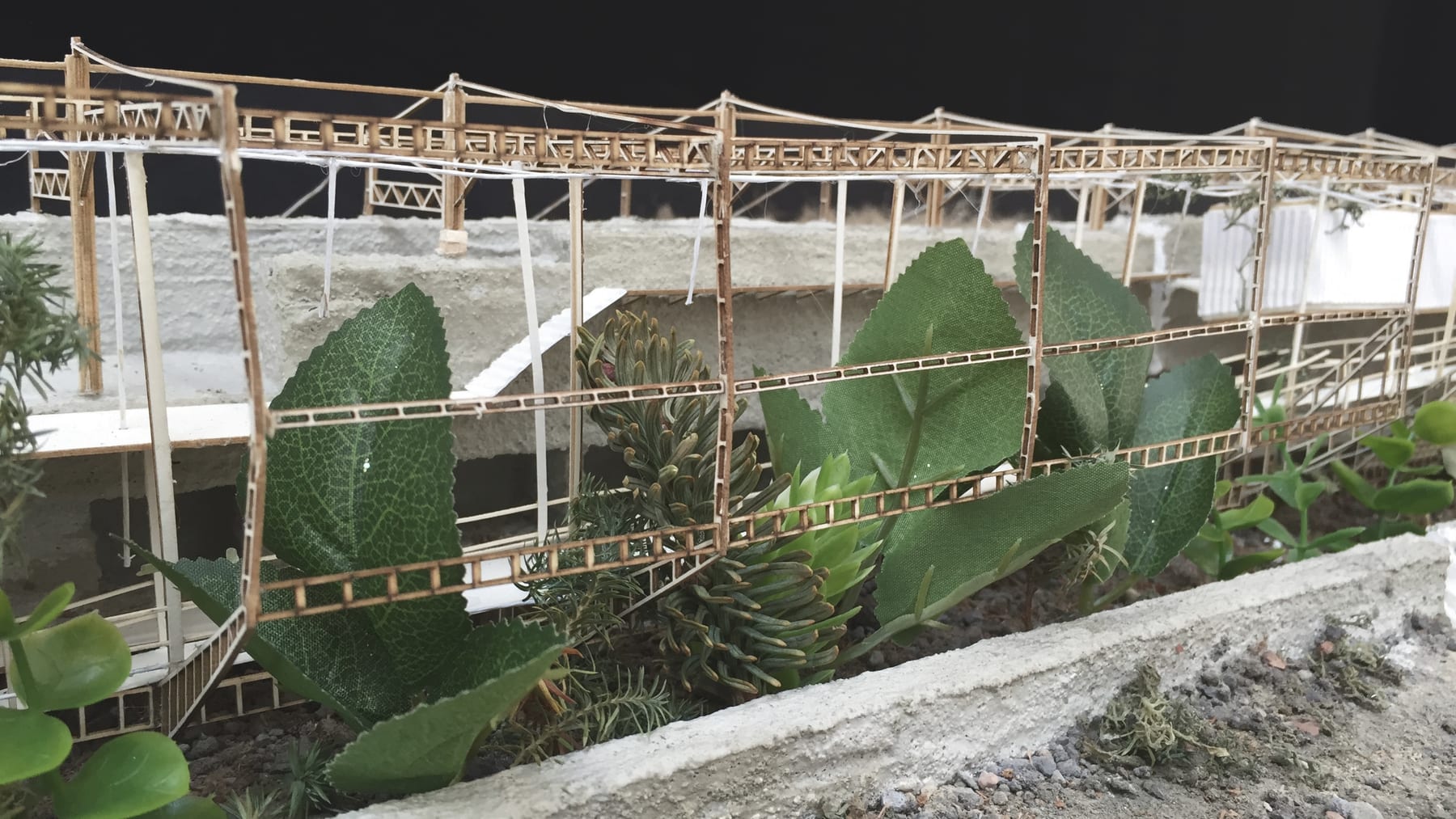 Undergarden physical model — purification path